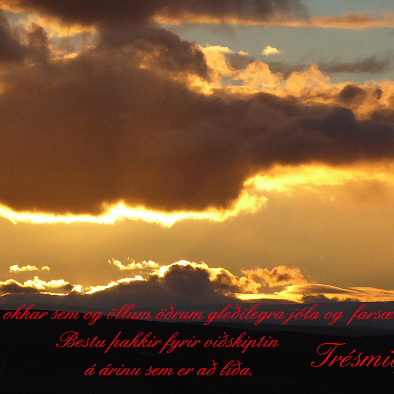 Hér gefur að líta útsýnið sem skrifstofufólkið hjá Trésmiðjunni þarf að lifa við í vinnunni.